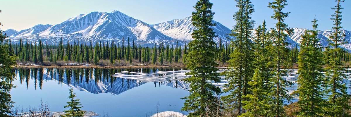 A view of the Alaskan wilderness
