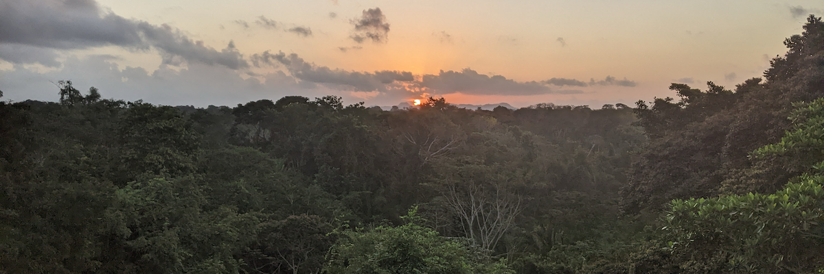 An arial view of a rainforest in Belize during the sunrise