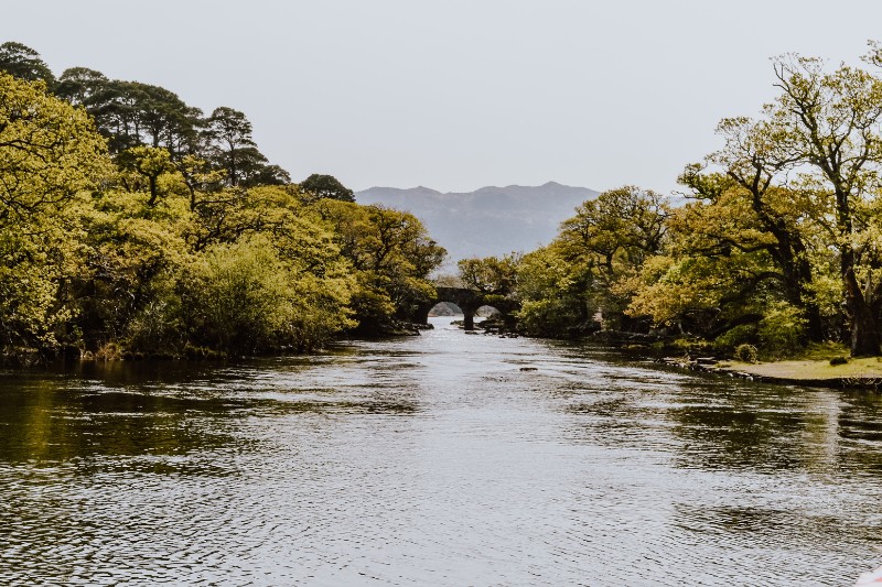 A tranquil river flows beneath the stone arches of Old Weir Bridge, framed by lush green trees and distant hazy mountains in Killarney National Park, Ireland.