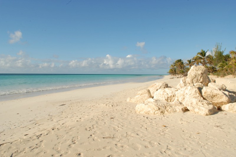 Peaceful Caribbean beach with white sand, scattered rocks, calm turquoise water, and palm trees under a sunny sky.